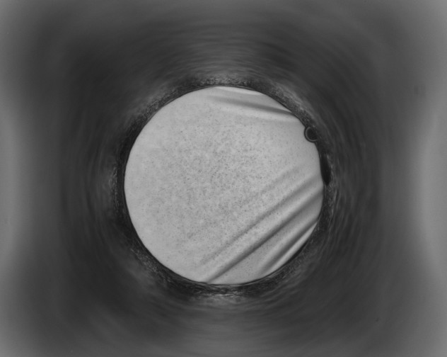 X0000082990306200703020849