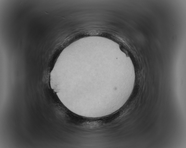 X0000082990307200703020849