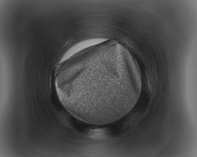 X0000082990312200703020849