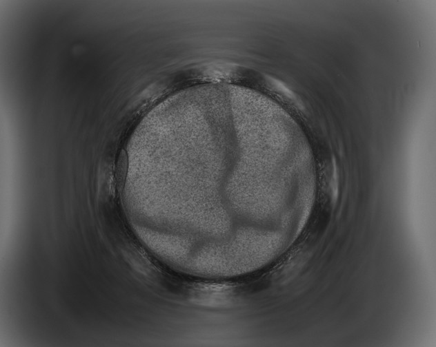 X0000082990313200703020849