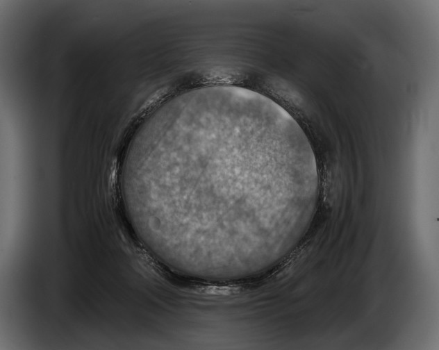 X0000082990314200703020849