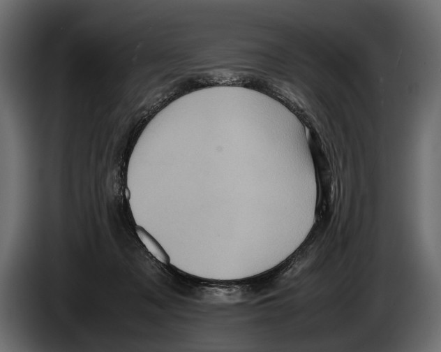 X0000082990317200703020849