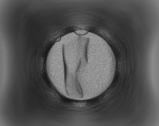 X0000082990318200703020849