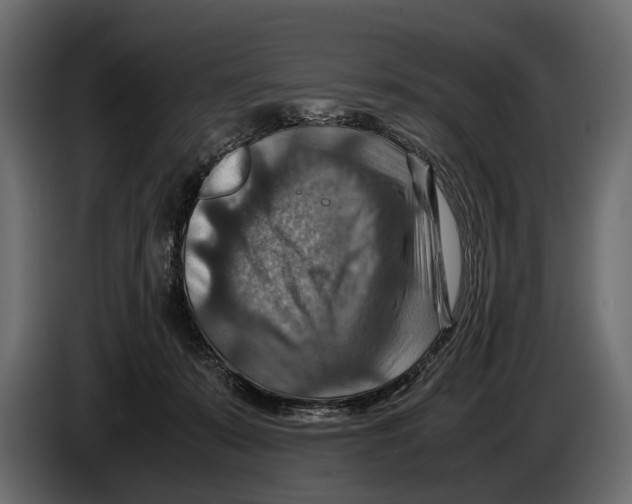 X0000082990319200703020849