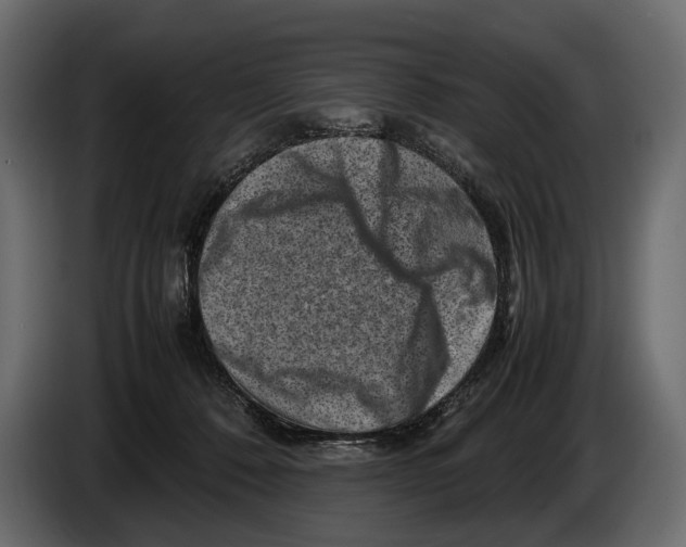 X0000082990320200703020849