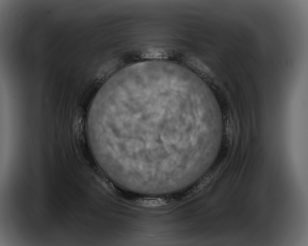 X0000082990322200703020849