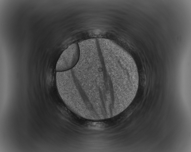 X0000082990324200703020849