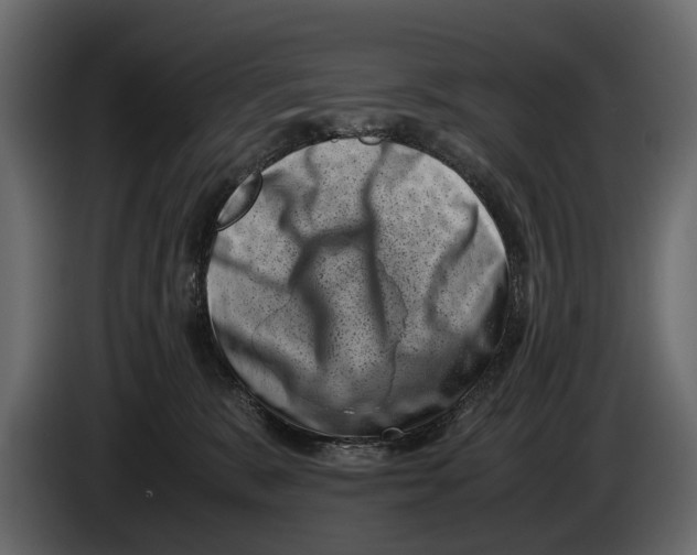 X0000082990327200703020849