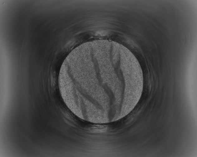 X0000082990328200703020849