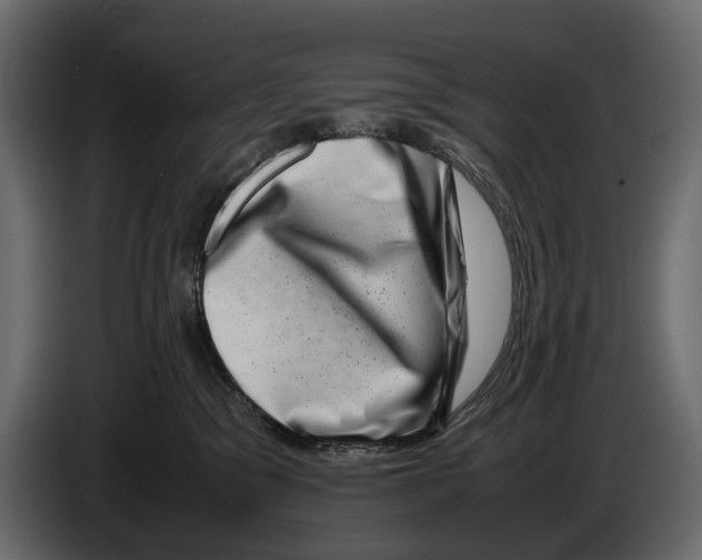 X0000082990329200703020849