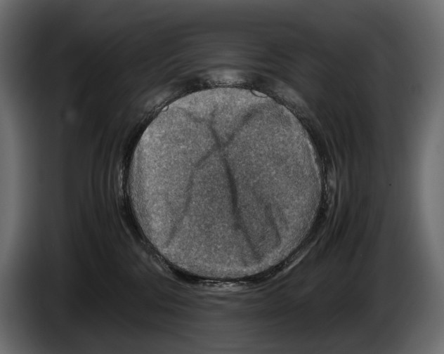 X0000082990330200703020849