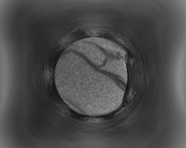 X0000082990332200703020849