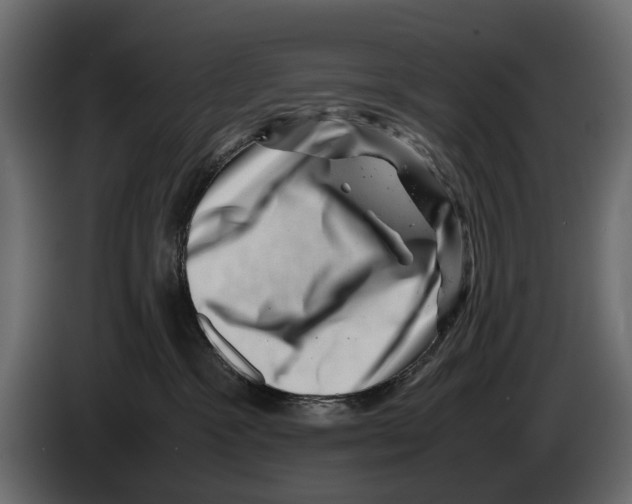 X0000082990333200703020849