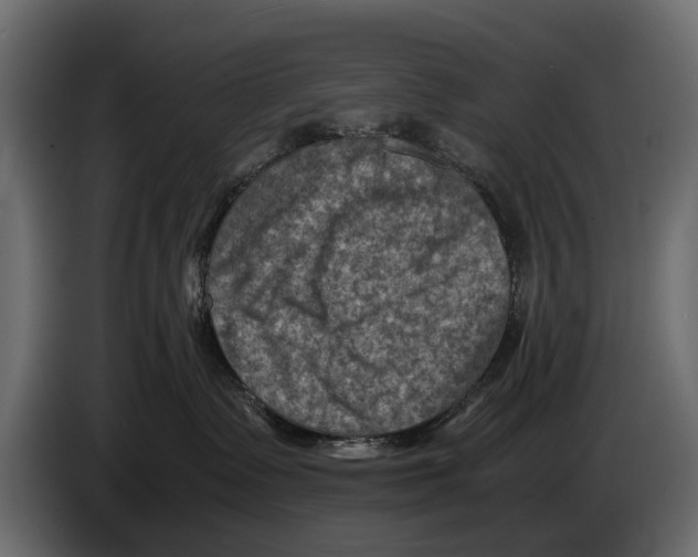 X0000082990335200703020849