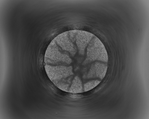 X0000082990336200703020849