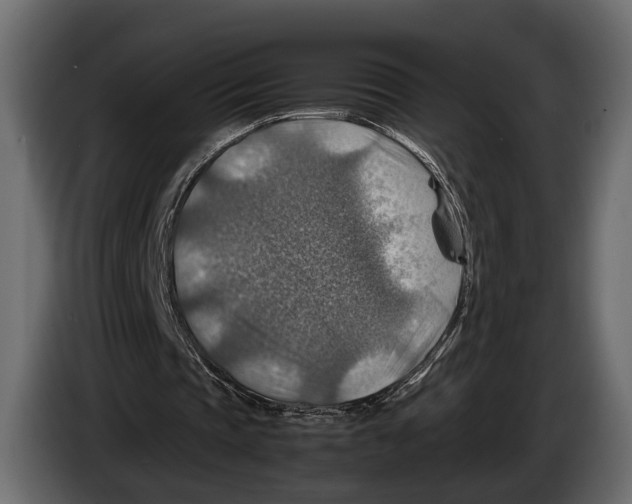 X0000082990337200703020848