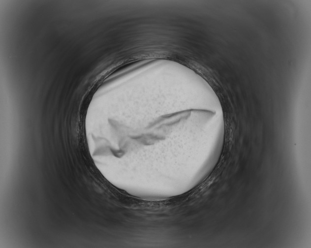 X0000082990338200703020848