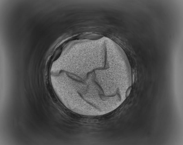 X0000082990339200703020848