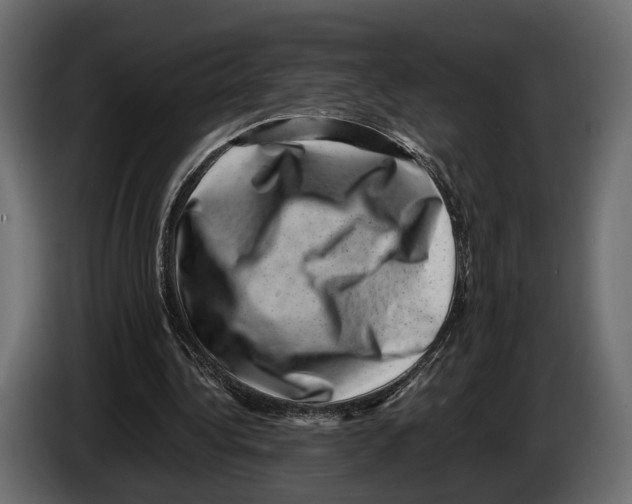 X0000082990340200703020848