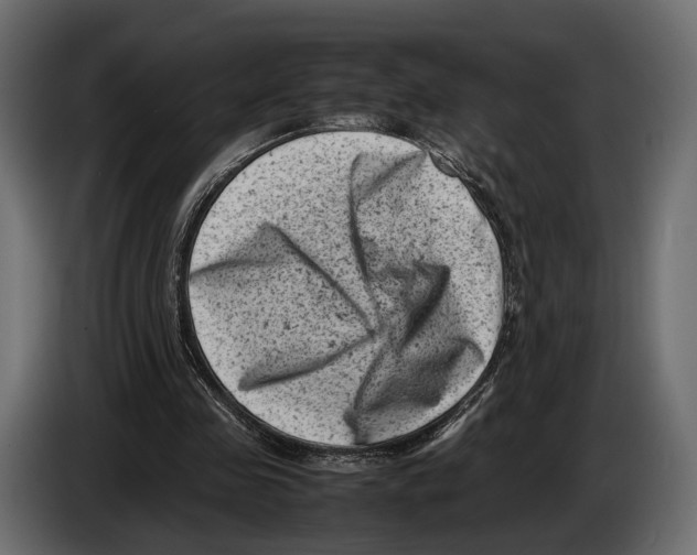 X0000082990341200703020848