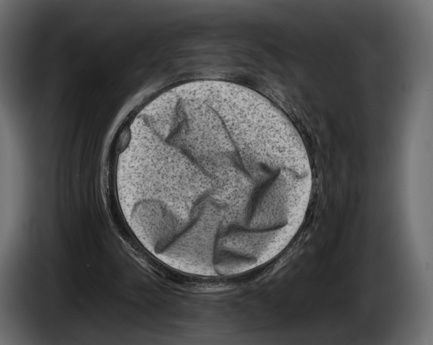 X0000082990342200703020848