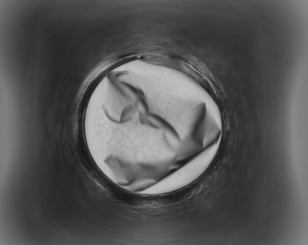 X0000082990344200703020848