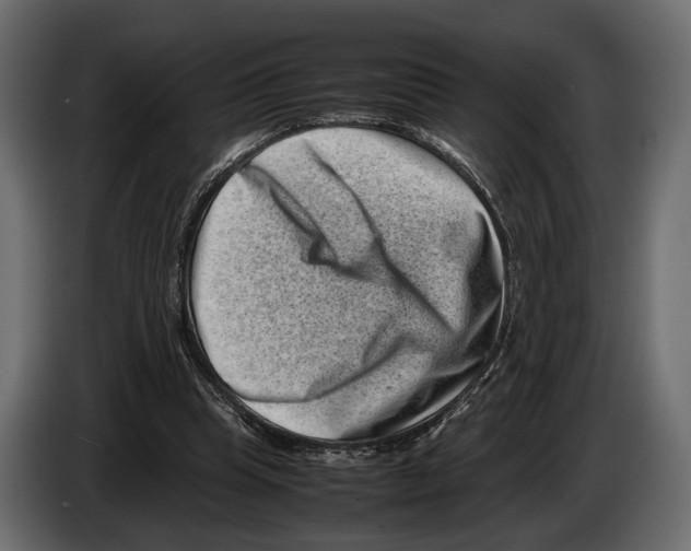 X0000082990345200703020848