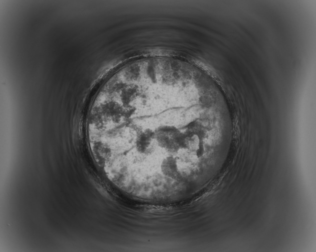 X0000082990347200703020848