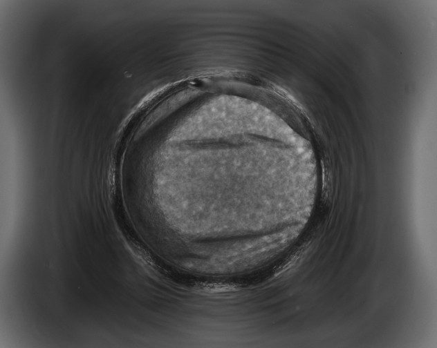 X0000082990348200703020849