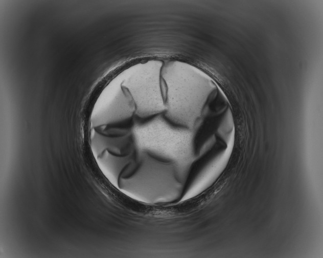 X0000082990350200703020849