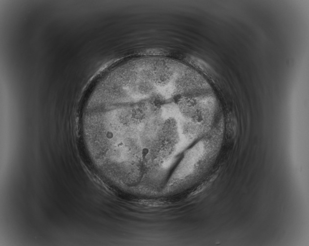 X0000082990351200703020849