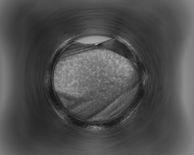 X0000082990352200703020849