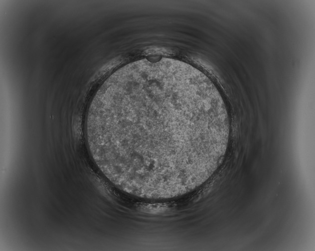 X0000082990353200703020849