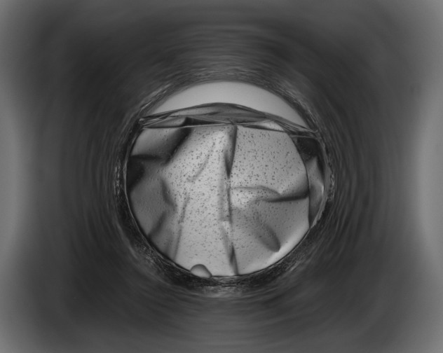 X0000082990356200703020849