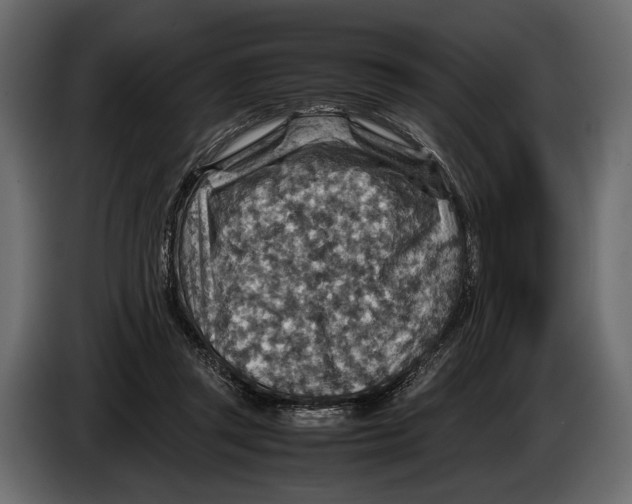 X0000082990357200703020849