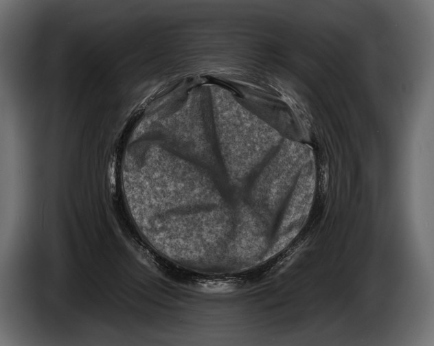 X0000082990358200703020849