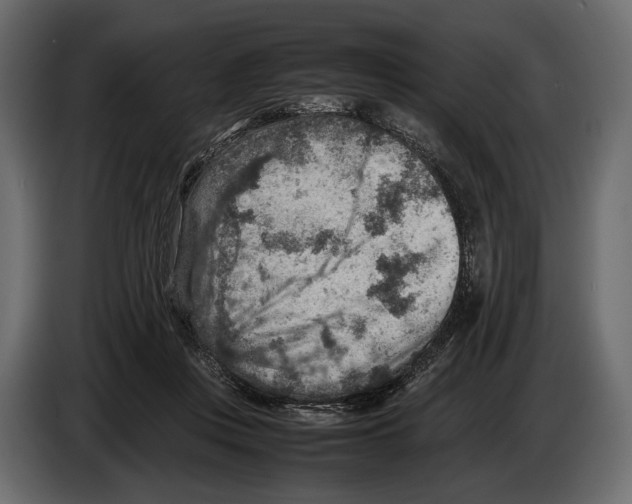 X0000082990359200703020849