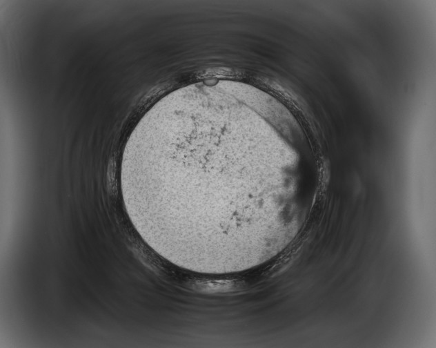 X0000082990361200703020849