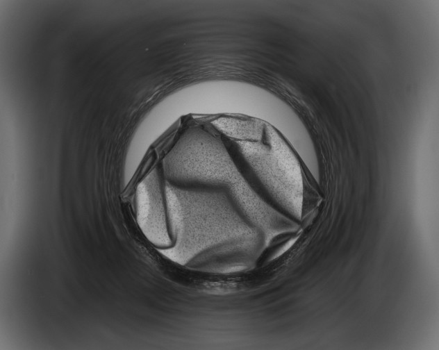 X0000082990362200703020849