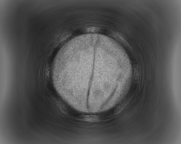 X0000082990363200703020849