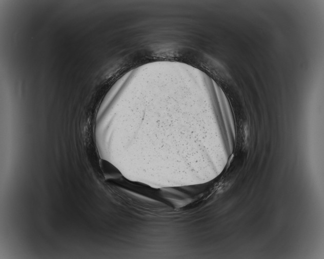 X0000082990364200703020849