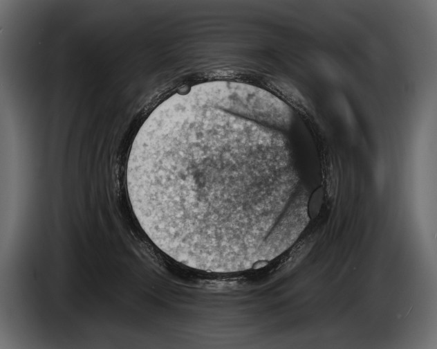 X0000082990366200703020849