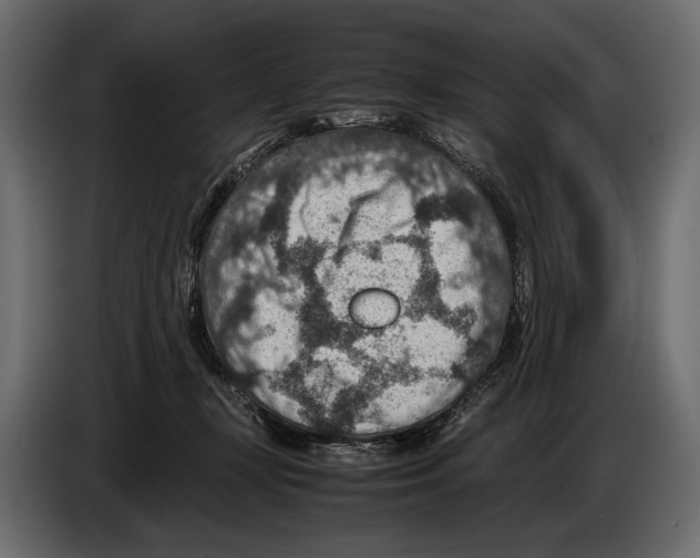 X0000082990367200703020849