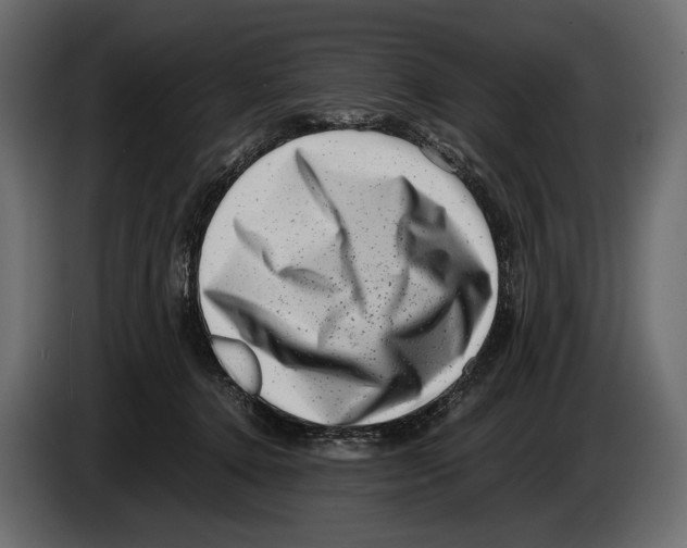 X0000082990368200703020849