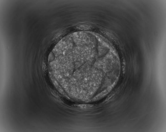 X0000082990371200703020849