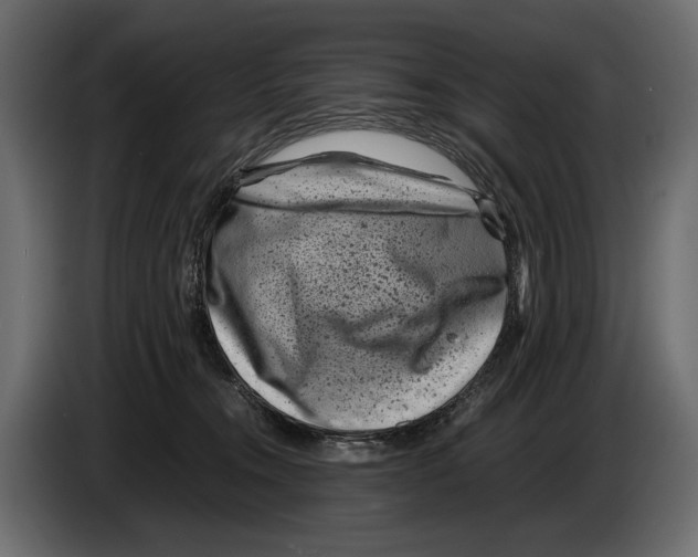 X0000082990372200703020849