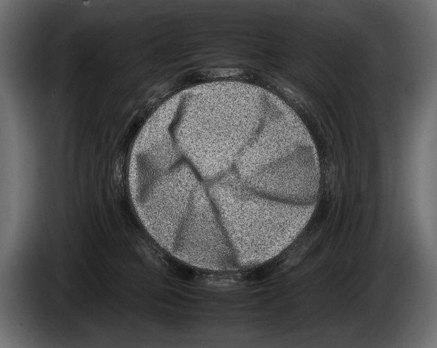 X0000082990373200703020849