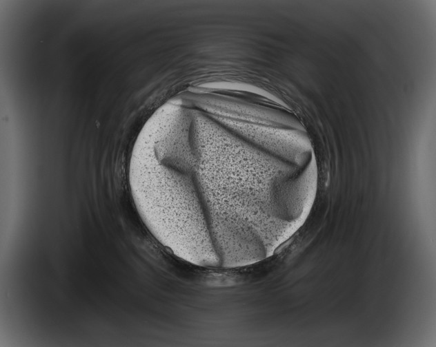 X0000082990376200703020849