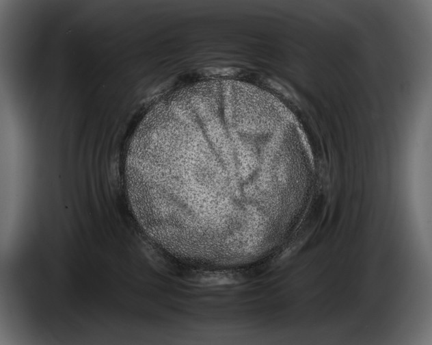 X0000082990377200703020849