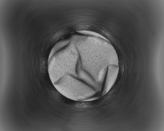 X0000082990378200703020849